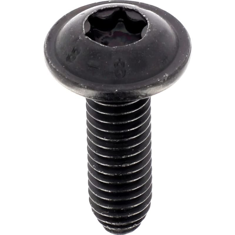 Vis Ronde Large Torx pour Carrosserie - Sachet de 12 - M6-1.00 x 20 mm