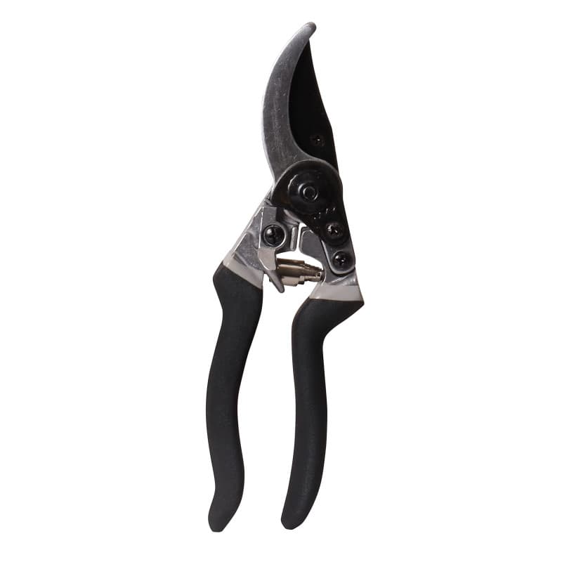 Sécateur Professionnel Spear & Jackson 23 cm pour Taille Précise