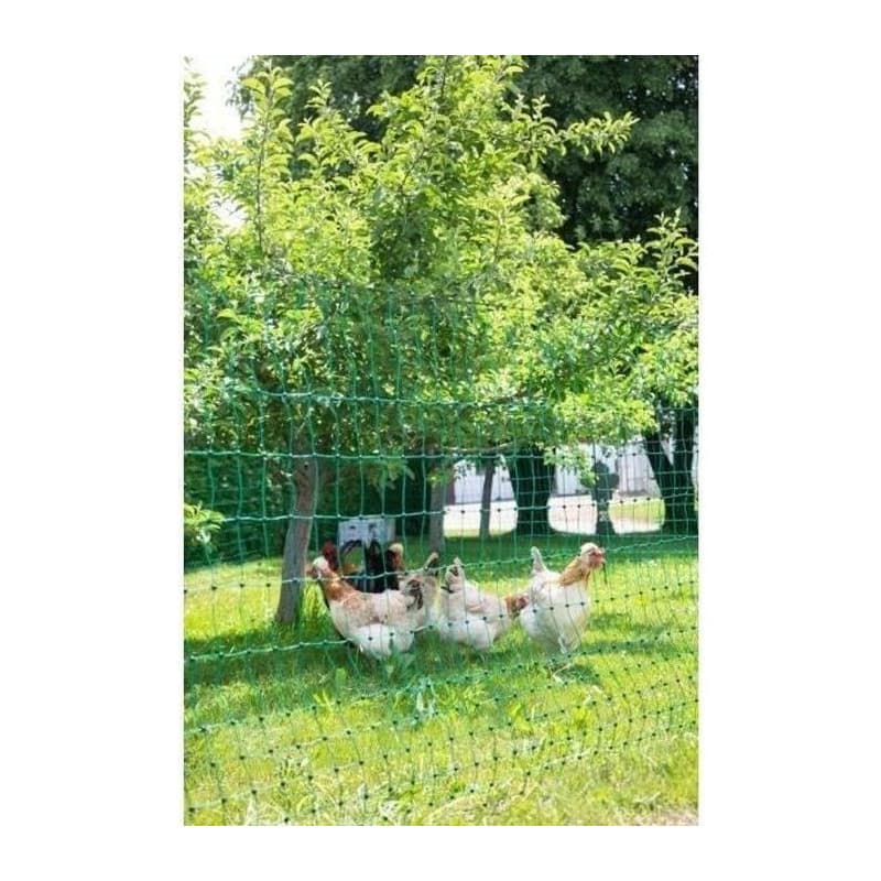 Filet de Protection Vert pour Poules - 25 m avec Double Pointe