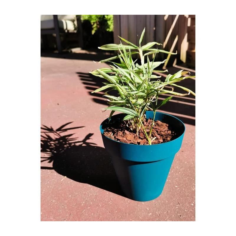 Pot de Fleurs Rond SOLEILLA en Plastique Bleu - RIVIERA - D59 x H54 cm
