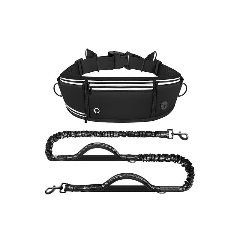Looxmeer Laisse Canicross Chien, Laisse Main Libre pour Chiens, Longe de Jogging Élastique 160-220cm, Anti-tirons, Réfléchissant