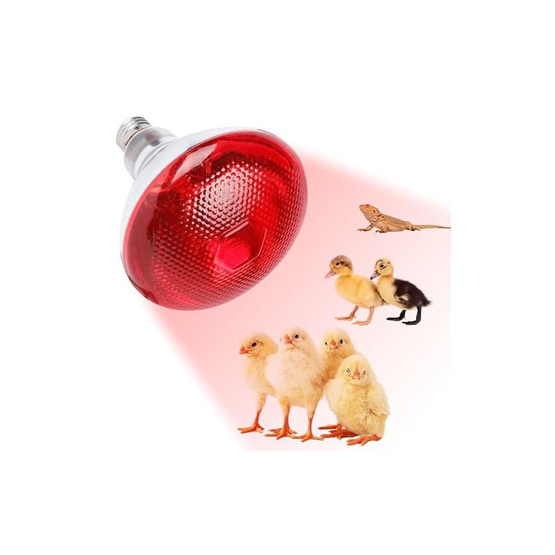 KBIBCK Lampe Chauffante Reptile, 250W Ampoules Chauffantes pour Reptiles, E27 Ampoule Infrarouge Chauffante, pour Chiot, Poussin