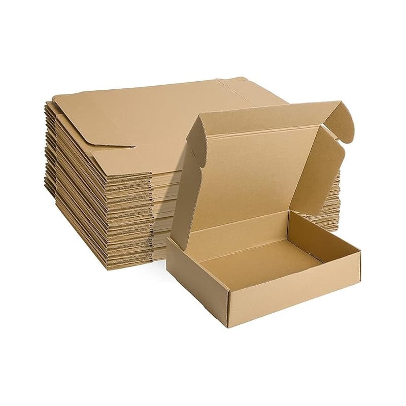 HORLIMER Petite Boîte Carton d'expédition 305x229x76MM Lot de 20, Carton de Livraison Pliable pour Expédition Postale, Courrier,
