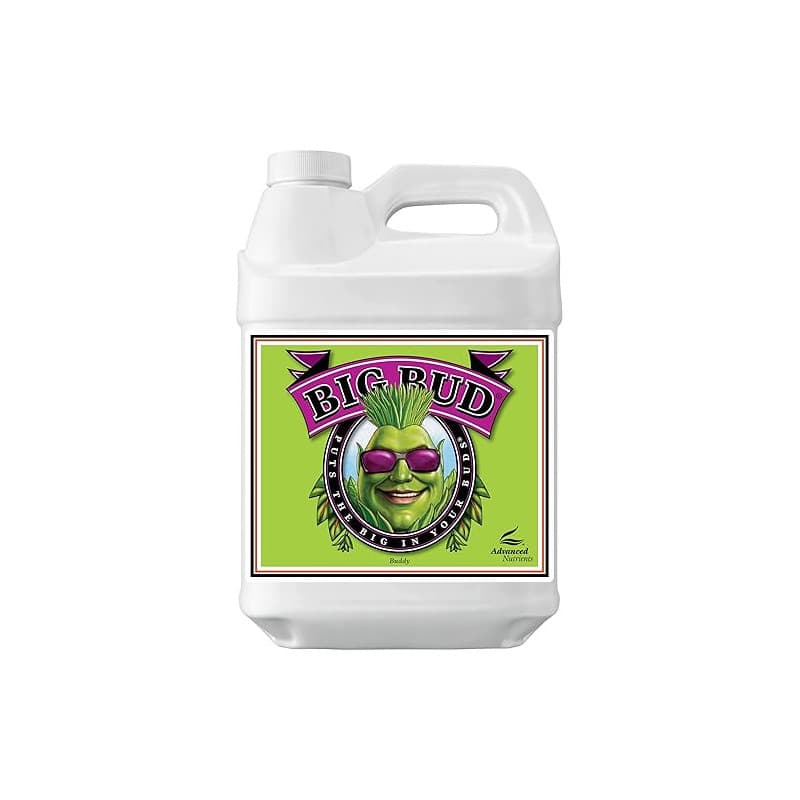 Advanced Nutrients GL525050-12 Big Bud Engrais Liquide 250 ML Marron/A