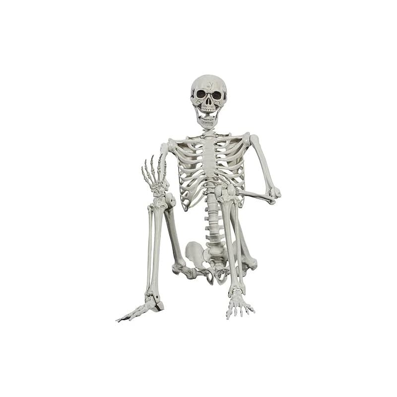 SIFOEL Squelette d'halloween - 165 cm - Taille réaliste - Squelette Humain - avec articulations Mobiles - Décoration de Maison h