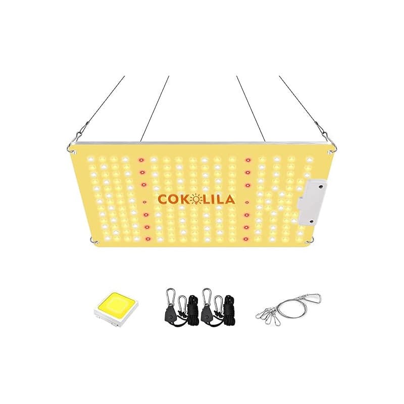 COKOLILA Lampe de Croissance 1000W, Lampe Horticole LED Dimmable avec Spectre Complet, 222 LEDs (SMD & IR) pour Plantes d'Intéri