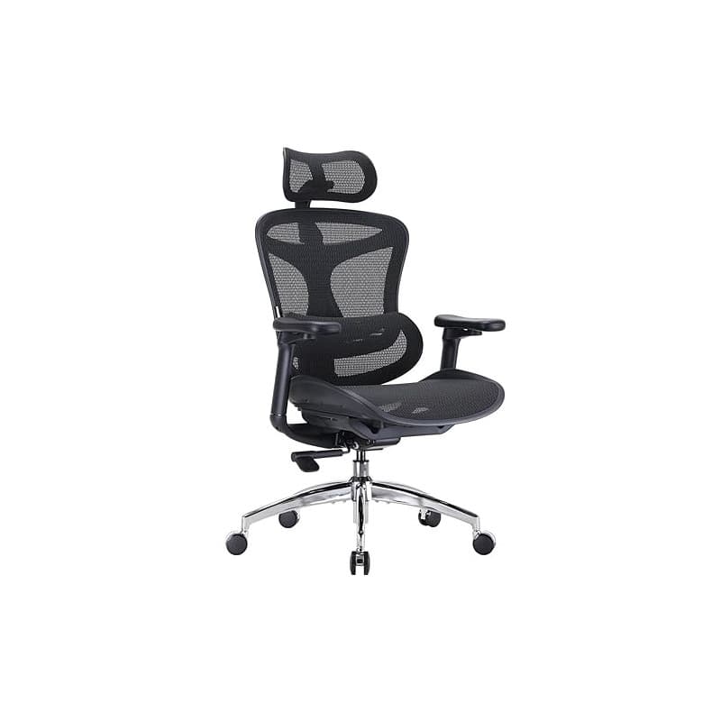 SIHOO Doro C300 Chaise de Bureau Ergonomique avec Accoudoirs Ultra Doux en 3D, Soutien Lombaire Dynamique pour Chaise Bureau à D