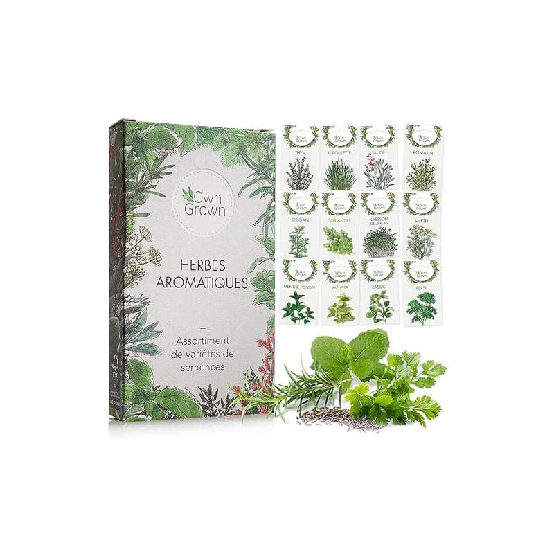 Kit de graines d‘Herbes aromatiques prêt à Pousser OwnGrown, 12 épices et aromates à Planter en Un kit Pratique, Naturelles pour
