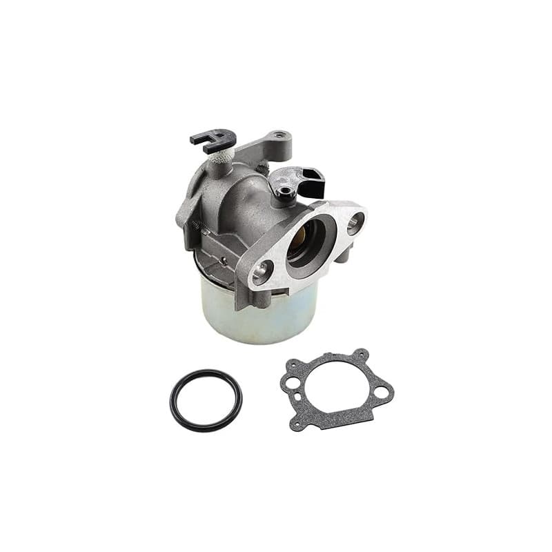 MCHNIC Carburateur avec joint pour tondeuse Briggs & Stratton 799871 799866 796707 794304 790845 128L05 128L07 128M02 12H800 625