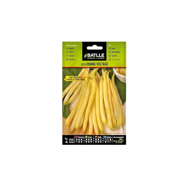 Semences horticoles de Batlle - Haricot nain Ilerda jaune (25g)