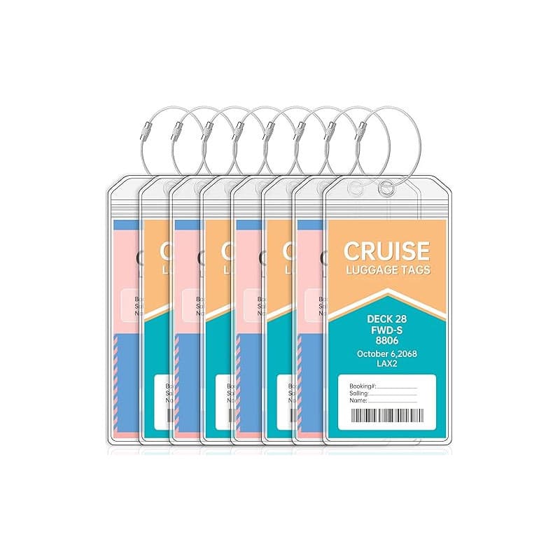 Teskyer 8 Pièces Porte Étiquette Bagage de Croisière, Imperméable à l'Eau, Transparent, Durable, avec Zip Seal, Boucles en Acier
