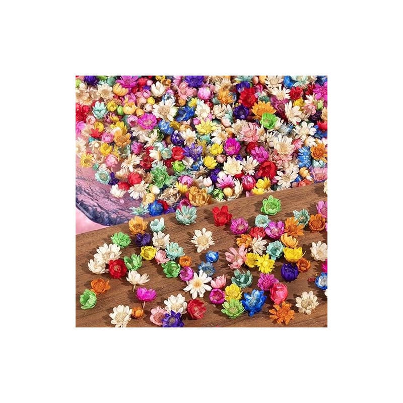 Ruzister 280 Petites Fleurs séchées pour travaux manuels – Mini Fleurs séchées pour résine, Petites Fleurs Naturelles séchées pr