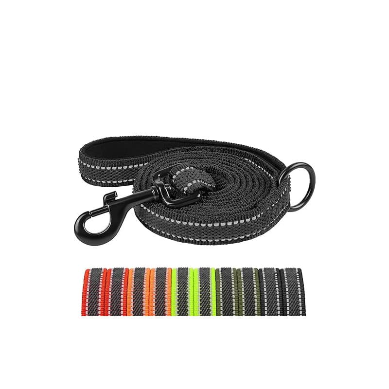 X XBEN Laisse pour Chien avec Poignée Confortable, 15MM-1,2M Laisse Solide et Réfléchissante pour Petits, Moyens et Grands Chien