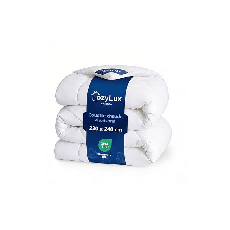 CozyLux Couette 220x240 tempérée pour Lit 2 Personnes, Édredon 300g/m² pour 4 Saisons, avec 4 Boucles D’Angle, Couverture en Mic