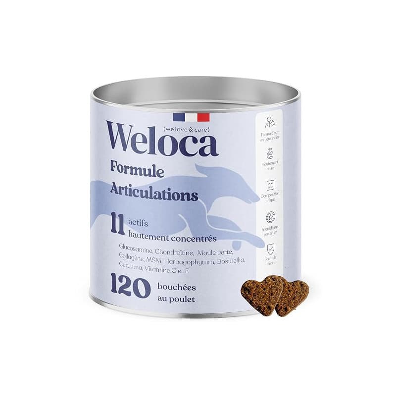 Arthrose Chien | 120 compléments Premium | 11 Actifs puissants hautement dosés (Moule Verte, harpagophytum, chondroïne, Glucosam