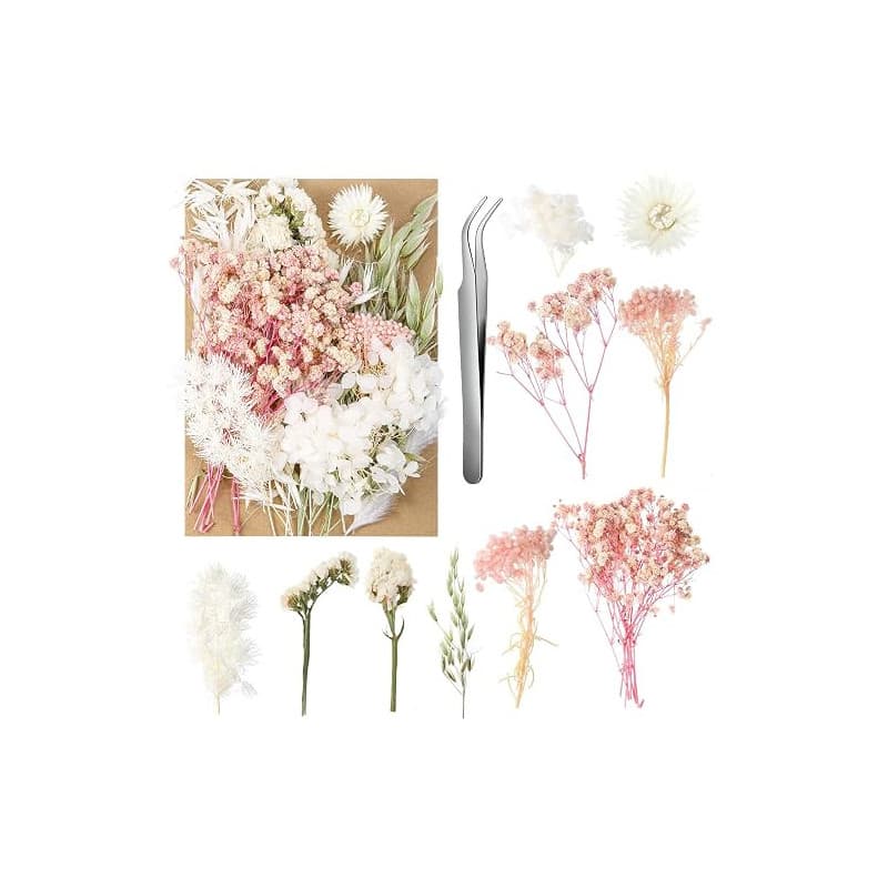 aurorayer Fleurs Séchées, Fleurs Sechees Naturelles Vraies Fleurs Pressées Séchées Decoration pour Scrapbooking Bougie Bricolage