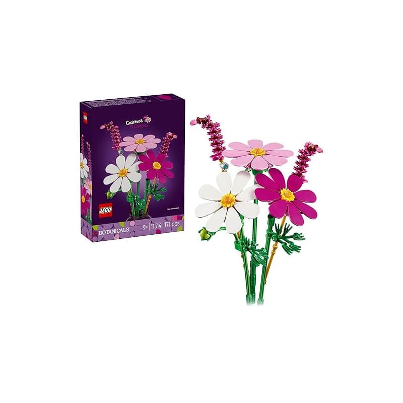 LEGO Botanicals Les Cosmos - Bouquet de Fleurs Artificielles avec 3 Fausses Plantes & 2 Brins Fleuris - Décoration de Chambre d'