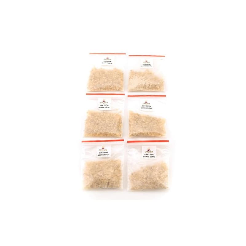 DHYANA Résine d'encens - 6 Sachets de 16g - Encens Naturel pour Purifier - Origine Inde - Total 100g (Copal)