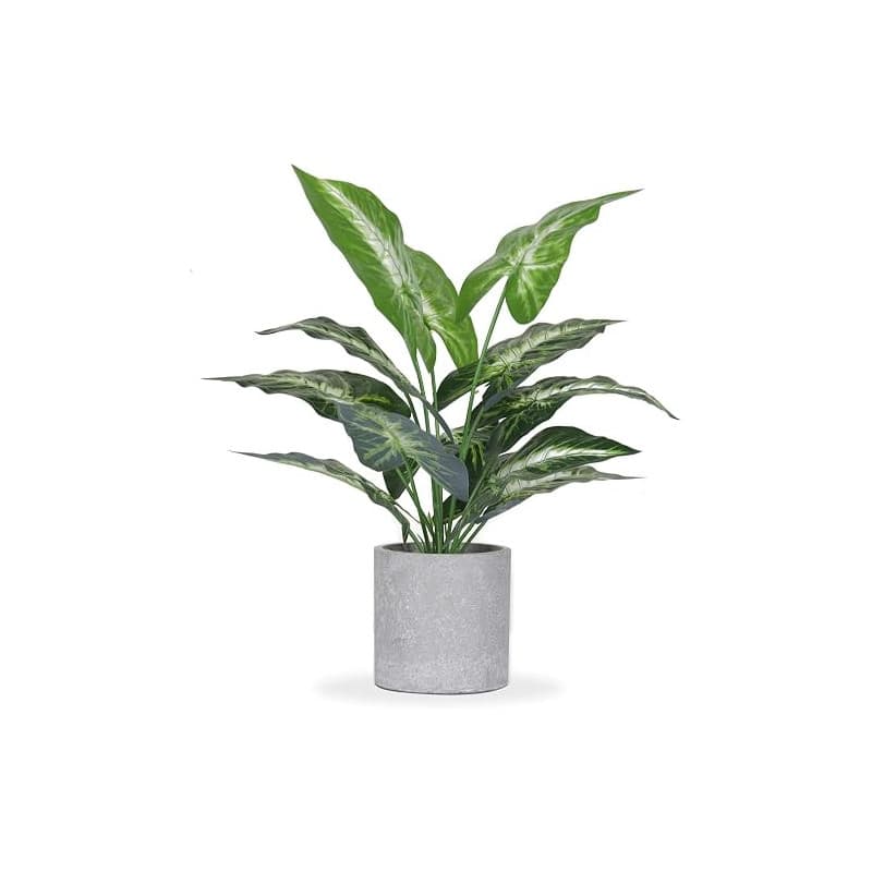 JC nateva Plantes artificielles pour la maison, le bureau, la chambre à coucher, la décoration de la chambre