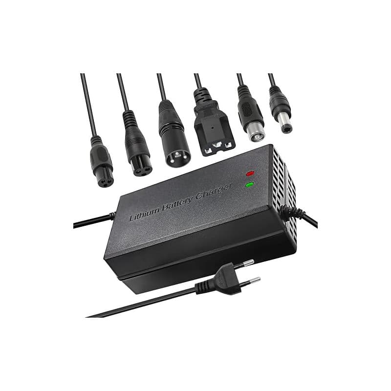 67.2v 5a Li-ION Chargeur de Batterie Multi-Plug pour Chargeur de Batterie de Moto de Bateau de Skateboard de vélo électrique 16S