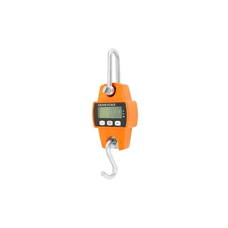 QWORK® balance suspendue numérique, 300kg, balance à grue numérique à crochet en aluminium, pour pesage au quai, matières premiè