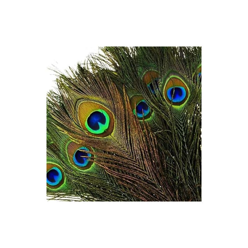 VoilaLove 25Pcs Plumes Naturelles de Paon avec des Yeux de Plumes de Queue de Paon pour la Fête de Mariage Arts and Crafts Home