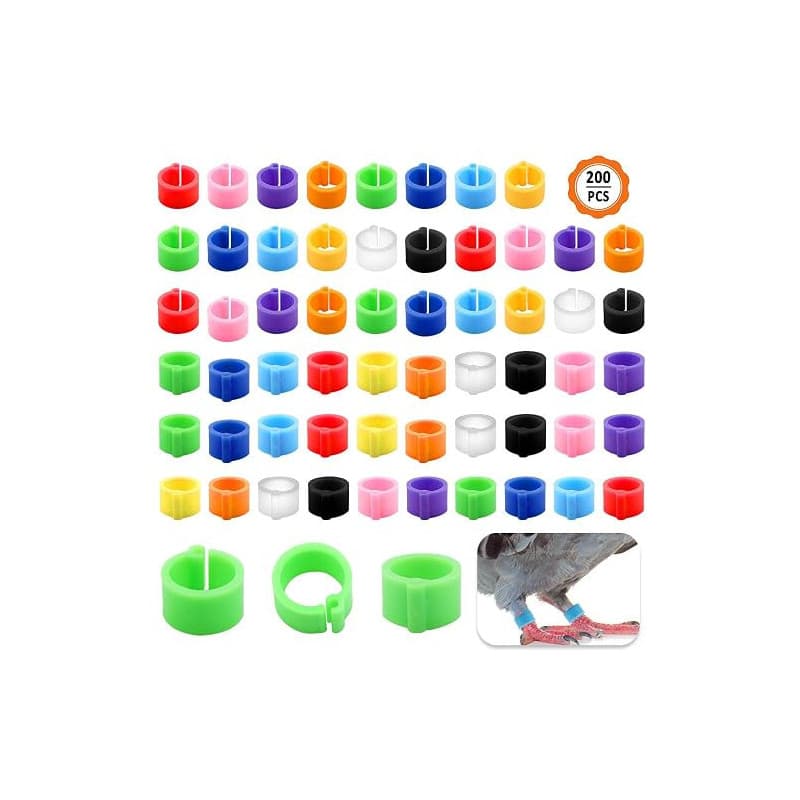 Huayue 200pcs Anneaux pour Pied d'Oiseau, Anneaux en Plastique Pigeon Bagues Anneaux De Pied pour Oiseaux 8 mm pour Identificati