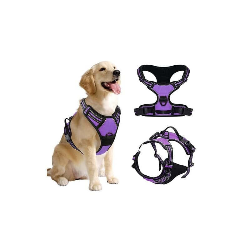 DKDDSSS Harnais Chien No Pull, Harnais Anti Traction pour Chien, Moyen, Violet M
