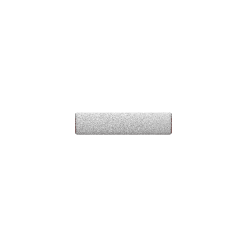 BROSSE A ROULEAU POUR ASPIRATEUR LAVEUR - DREAME - DREHSBR