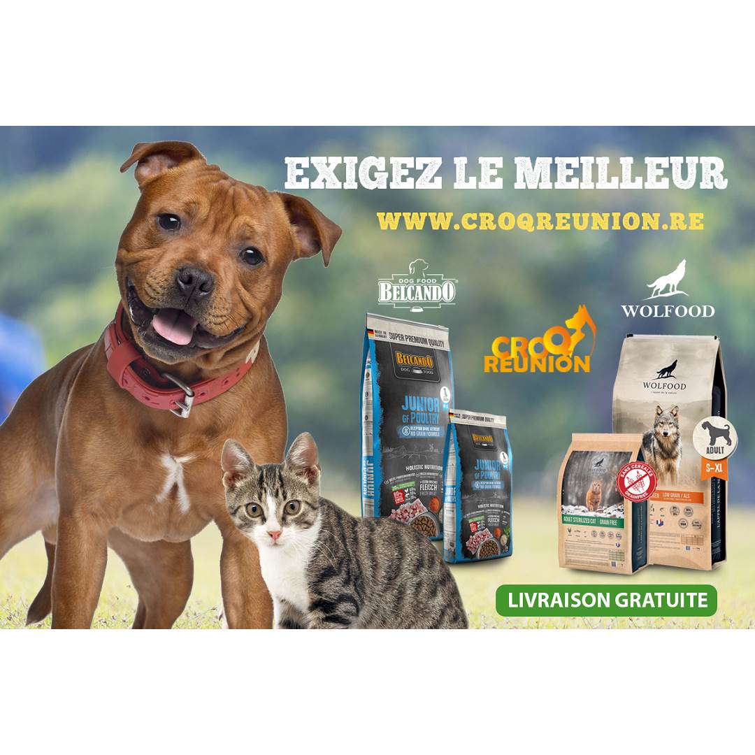 Lapub Re Promos De Croq Reunion Promotion De 10 Sur Les Croquettes Pour Chiens Wolfood Animaleries Jardineries Piscines